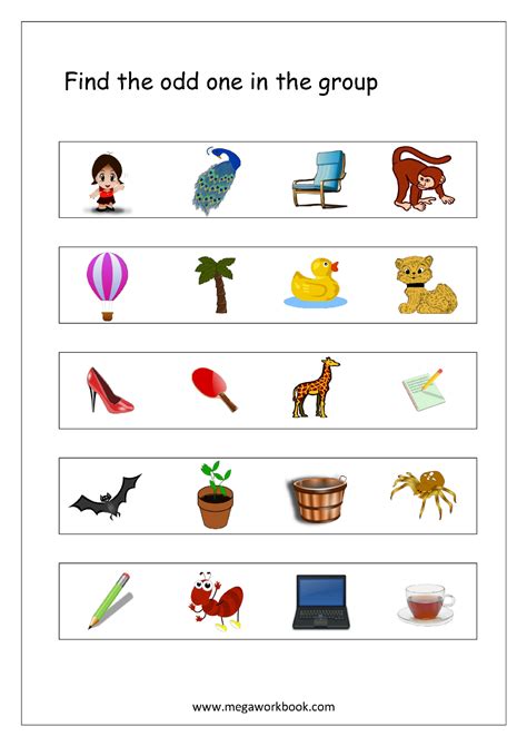 odd one out worksheet for class 1|Learn English Odd one Out, Class 1 English Odd one Out .